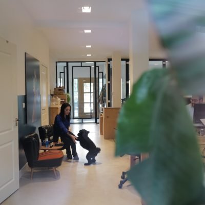 WhatsApp Image 2025-10-13 at 14.46.03_b777f6f7